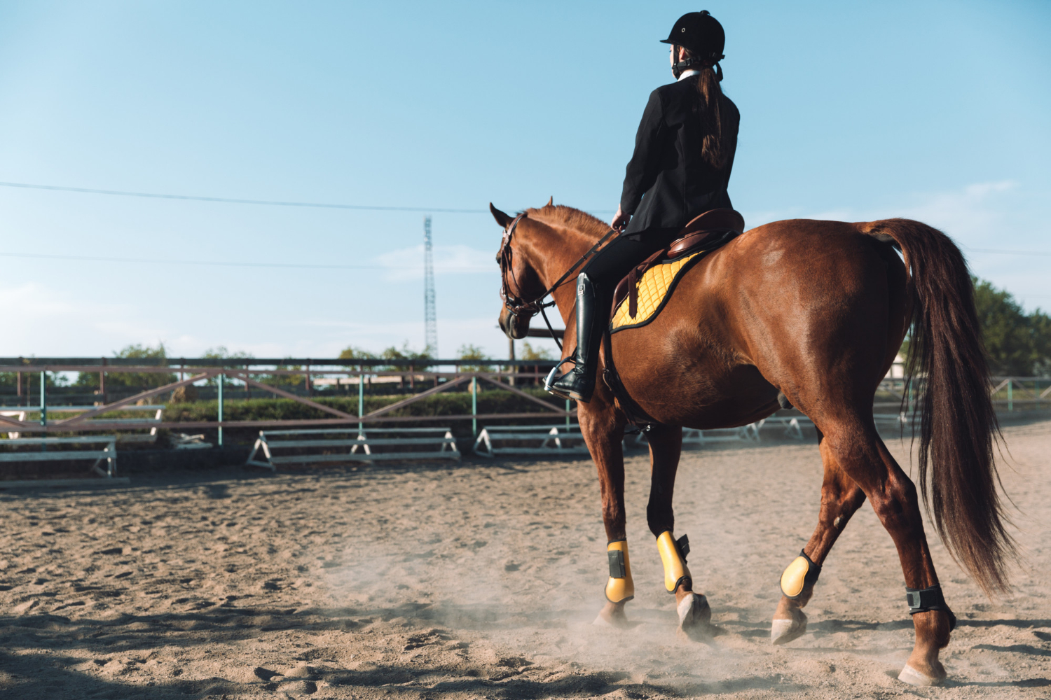 Person in equestrian outfit riding a brown horse with yellow leg wraps in an outdoor riding arena.